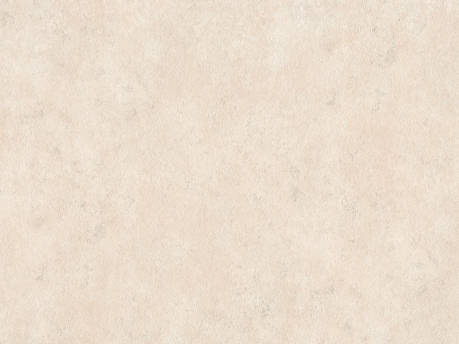 Պաստառ SO B119 1301-01 4  (1.06*10)