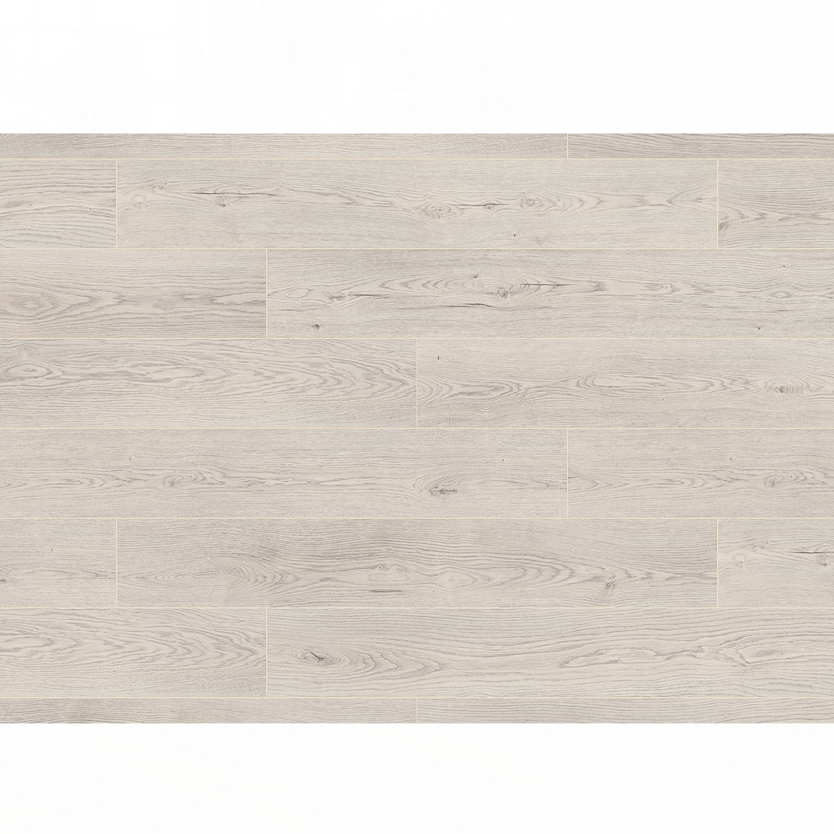 Լամինատե հատակ Ultrafloor K484   AC5 (8մմ)