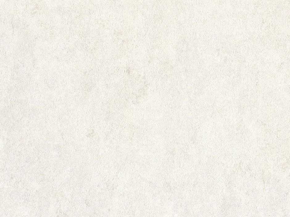 Պաստառ SO B119 1301-10 4  (1.06*10)