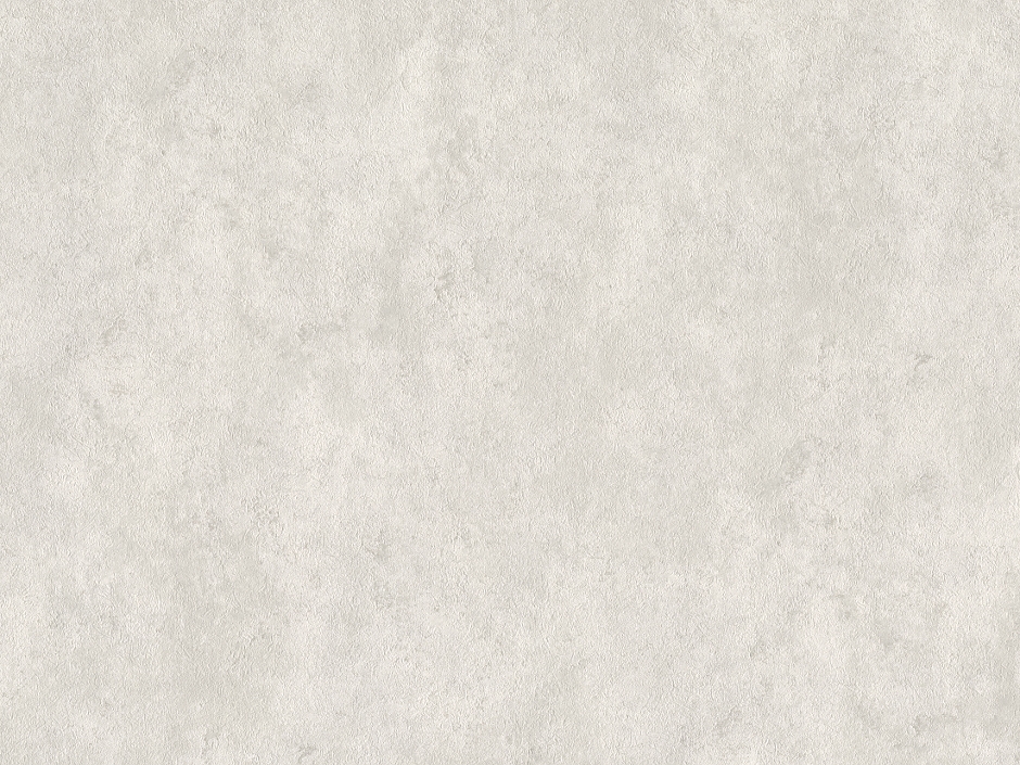 Պաստառ SO B119 1301-05 4  (1.06*10)