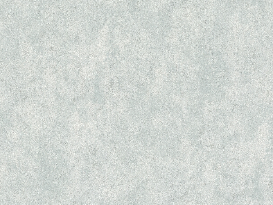 Պաստառ SO B119 1301-03 4  (1.06*10)