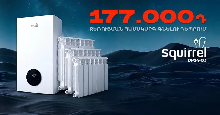 177000 դրամ Squrrel DP24-Q3 գազի կաթսայի համար