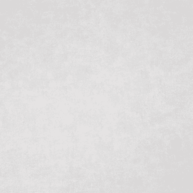 Պաստառ P HC72317-24     8